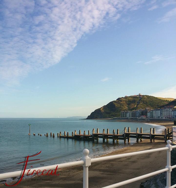 The Firecat Country House Guesthouse Mallwyd 외부 사진